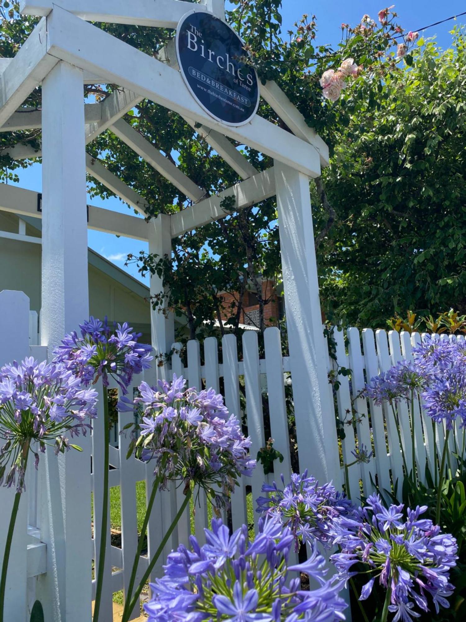 Birches B&B Taree Esterno foto