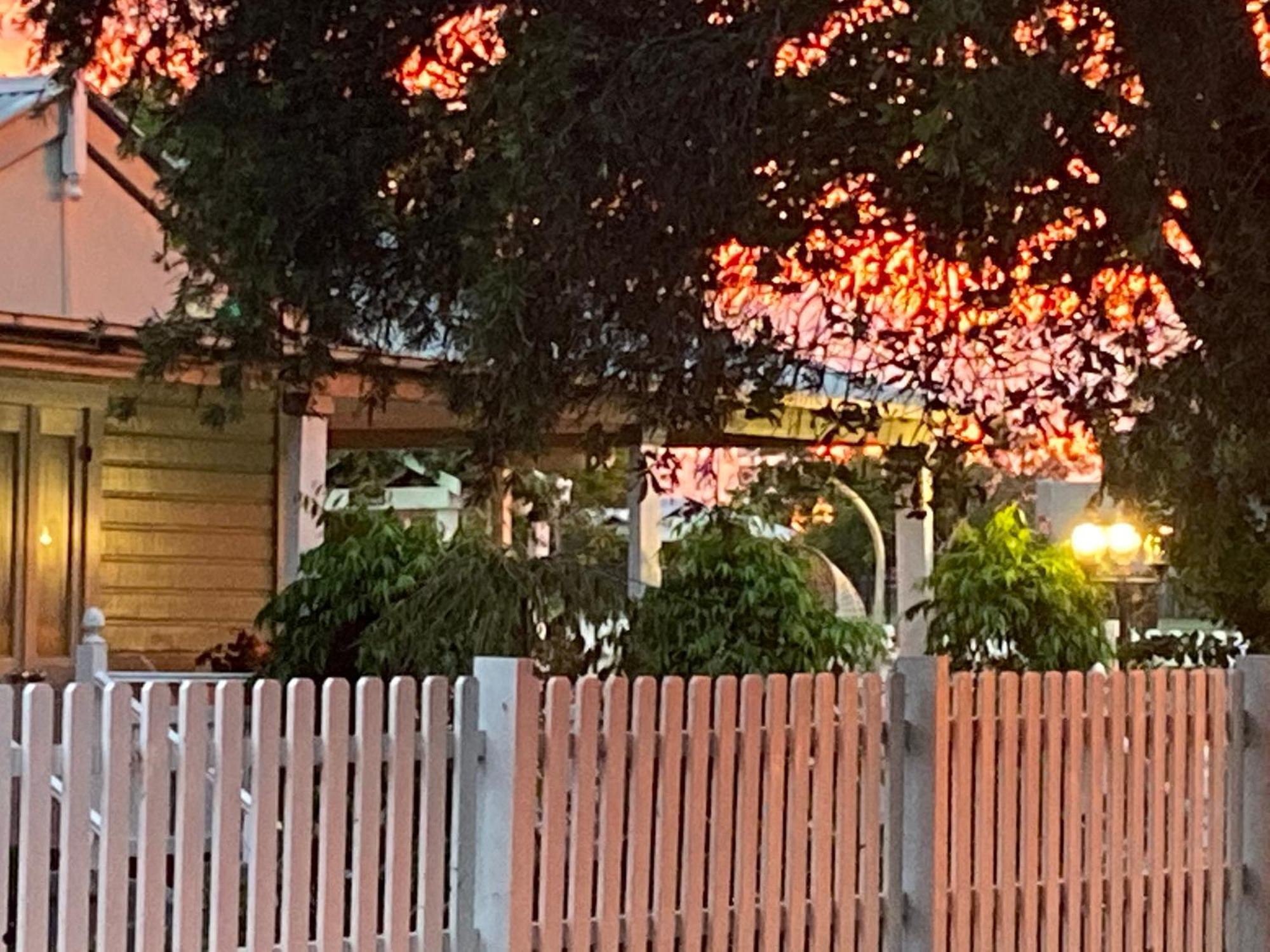 Birches B&B Taree Esterno foto